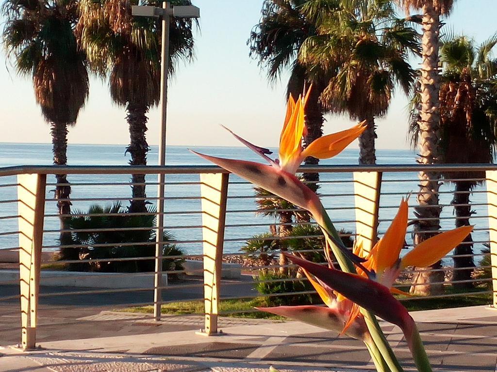 Residence Stendhal Guest House Civitavecchia Kültér fotó